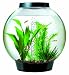 Pet Supplies : biOrb Baby with Light Fixture (4 Gallons Black)