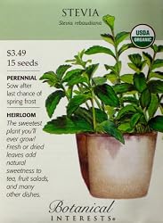 Stevia Certified Organic Seeds