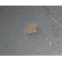 WMF 1407059990 Entkalker f�r Kaffee- und Espressom&hellip von WMF