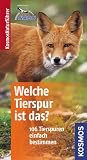Welche Tierspur ist das?: 106 Tierspuren einfach bestimmen. Basic title=