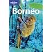 Planning Travel to Borneo?