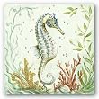 Pacific Seahorse by Kate McRostie 10"x10" Art Print Poster