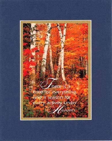 Beautiful and Inspiring 8 x 10 Inches Frame able Inspirational Note Card (There Is a Time for Everything . . .) on Double Beveled Matting (Blue On Gold)