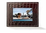 Parrot 7-Inch Digital Photo Frame (Coffee Salamander)