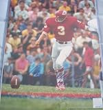 Jan Stenerud autographed 11x14 Kansas City Chiefs photo