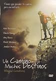 Un Camino Muchos Destinos (Winged Creatures aka Fragments) *NTSC/Region 1 & 4 Import-Latin America