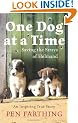 One Dog at a Time: Saving the Strays of Helmand