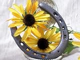 Cast Iron - Large Horse Shoe SET/6