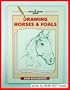 Drawing Horses and Foals (How to Draw)