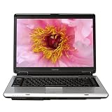 Toshiba Satellite A135-S4527 15.4" Notebook PC (Intel Pentium Dual Core Processor T2080, 1 GB RAM, 120 GB Hard Drive, SuperMulti DVD Drive, Vista Premium)