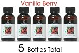 Elegant Expressions Natural Vanilla Berry Warming Oils - Box of 5pc / 55 ml ea