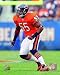 Lance Briggs 2011 Action Poster (8.00 x 10.00)