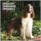 English Springer Spaniels 2013 - International - Original BrownTrout-Kalender