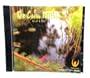 THE CALM WITHIN CD GUIDED MEDITATION REDUCE STRESS RELAX & HEAL, EXCELLENT CD MUST HAVE RELAXATION THERAPY