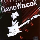 The Best Of David Wilcoxby David Wilcox