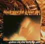 Ashes in Brittle Air