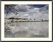 Cherry Blossoms, Washington Monument, Old Post Office Tower Photograph - Beautiful approx. 22"x26" Framed & Matted - 7/8" Rounded, Shiny, Black Metal Frame - Photographic Print by Carol M. Highsmith