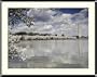 Cherry Blossoms, Washington Monument, Old Post Office Tower Photograph - Beautiful approx. 22"x26" Framed & Matted Photographic Print by Carol M. Highsmith