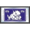 Texas Christian University Mirror - 26x15"