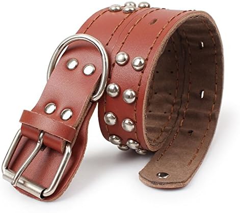 Miniwild Leather Pet Soft Padded Large Dog Collar Strong for Daily Use Fit for 18-25", Brown