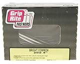 Prime Source 1 Lb 20D Bright Plain Shank Common Nail 20C1
