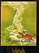 Books : Views : Art and Industrial Design of Roger Dean