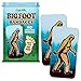 Mcphee Bigfoot Bandages 10 Extra Large Bandages