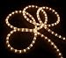 27' Clear Indoor/Outdoor Christmas Rope Lights - 8 Functions