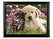 Puppy and Kitten 3D Picture - Best Friends Animal Print - Black Framed Fur Babies Picture Artwork - Holographic Wall Art
