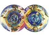 Biodiversity Double Circle Jigsaw Puzzle 800pc