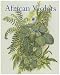 African Violets: In Search of the Wild Violets
