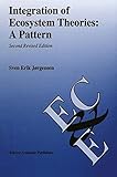 Integration of ecosystem theories : a pattern