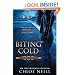 Biting Cold: A Chicagoland Vampires Novel