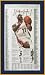Cleveland Cavaliers - 10414 - LeBron James Leading Scorer - Plaque Mounted & Laminated Newspaper