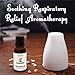 Eucalyptus Essential Oil - AromaOils 1 oz (30 ml) - Best 100% Pure Therapeutic Grade - Used now for Aromatherapy, Natural Home Cleaning Additive, and as part of your Natural First Aid Kit