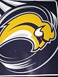 BUFFALO SABRES 50" x 60" Team Logo Super Soft PLUSH BLANKET
