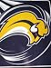 BUFFALO SABRES 50" x 60" Team Logo Super Soft PLUSH BLANKET