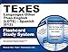 TExES Languages Other Than English (LOTE) - Spanish (613) Flashcard Study System: TExES Test Practice Questions & Review for the Texas Examinations of Educator Standards (Cards)