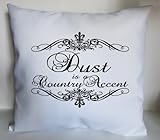 Picture Dust is a Country Accent Pillow Sham