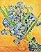 Diy oil painting, paint by number kit- worldwide famous oil painting Vase Irises by Van Gogh 16 * 20 inch.