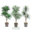 Three 6' Triple Head Artificial Trees: Bird Nest + Phoenix +Yucca, with No Pot,