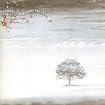 Wind & Wuthering