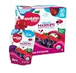 Revolution Foods Organic Mashups Squeezable Fruit, Berry, 3.17-Ounce Pouches (Pack of 24)
