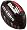 Atlanta Falcons