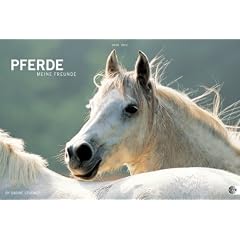 Pferde. Meine Freunde 2012
