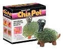 Chia Dinosaur Collectable