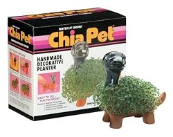 Chia Dinosaur Collectable