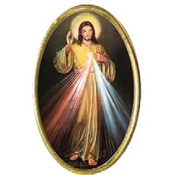 Car Visor Clip - Divine Mercy - 1.75"x1.0" - Clip on