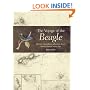 The Voyage of the Beagle: Darwin's Extraordinary Adventure in Fitzroy's Famous Survey Ship