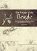 The Voyage of the Beagle: Darwin's Extraordinary Adventure in Fitzroy's Famous Survey Ship